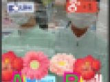 薬◯販売員さん2人！おっ◯い名札覗き、、(販売自粛やめて、販売再開～  )