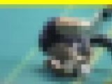 3935／「微笑み撮り・追憶のティーンズバレーが呼んでるよ（２）」