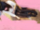 美人人妻?流出ファイル?家で！お外で！黒タイツ+ストッキング２（大量200枚）