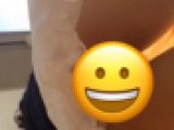 パン動画1