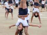 パンパンたんピー　150