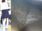 パンチラ盗撮 OLさん 神風が吹いて風チラ 白の柄パンツがモロ見え