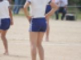 パンパンたんピー　200
