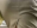 お姉さんの後ろ姿　２０９　OL　巨尻　階段上り　ベージュ　タイトスカート