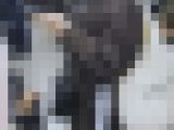 7名セット