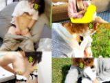 【妻のオナニー #21】子供部屋でのオナニー【授乳・胸チラ、脱衣所】
