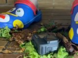 【世界初】ぴえん×スイートタマリンドの化学反応を君たちはまだ知らない。