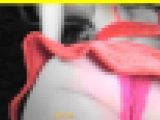5655／「探り撮り・キャンちゃんがくれた秘境大冒険（156）～チラ篇１」