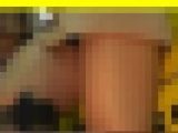 4546／「偽装撮り・キャンちゃん私家盤コレクション（10）」