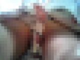 パンチラ臨場感53　激カワ娘編