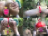 ?野外ケツ穴オナニー?振回されてサンタ苦労す?