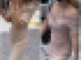 【再販商品です】 《４K・高画質》 No.324「金髪アパレル店員GAL２選」