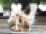 （再販）お座りお姉さん発見！！（ＦＨＤ）大変です！！パンツが見えてますよ４６