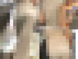 【再販】【OLシリーズ】これも生地が薄すぎ！透け透けの服を着たOLの後姿【126】