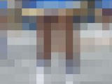【セット商品】チア・パレード活動写真 Vol.45-46