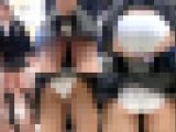 【再販】鬼畜スカートめくりNo,28～幼尻に食い込みすぎな白Pモロ見え盗撮めくり～