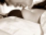 鬼頭ファイル No.35