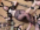 苦悶と笑顔が交じり合った何ともエロい表情で愉しそうに反応する人気セクシー女優　デカ女の「滝ゆいな」さん（完全オリジナル）