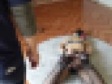 【再販】ドM女子の休日