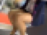 パンストOLをデスクの下から…ずり上がったタイトスカート肉感美脚に▼地帯