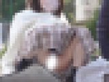 公園パンチラ１８　あ！大きく開脚しちゃいましたね。青さの残る綿パンティー娘。