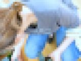 【再販】Tシャツデニムのお姉さんの日常に潜む浮ブラちっぱいを上から堪能 season2 #42【胸ちら】