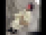 【5日間連続で逆さ撮り】初登場の巨乳OL！まるで穿いてないみたいなTバックをお召しでした