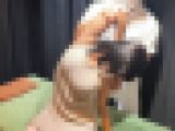 【整体師の暴挙】施術台にバンド固定　乳首絶頂で放心状態の美女　追いうち生挿入から非情の中出し