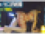 【再販】光る棒をアソコに刺されお散歩フェラ