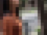 【横からの眺め401_ちっぱいver】程よい肉付きのスリムＯＬのちっぱいを並走で！